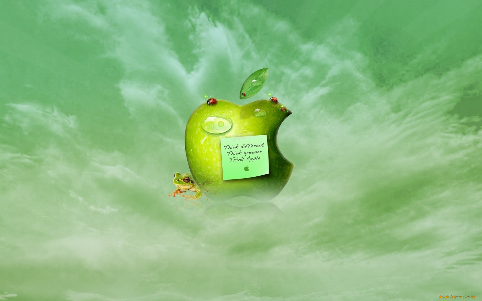 , apple